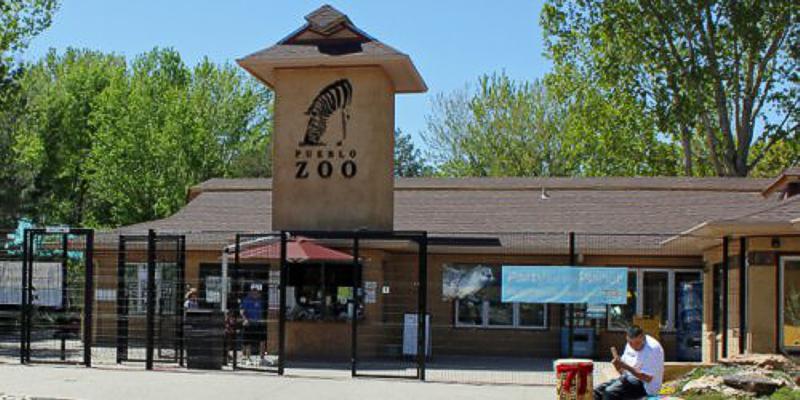  Visit Pueblo Zoo's Website