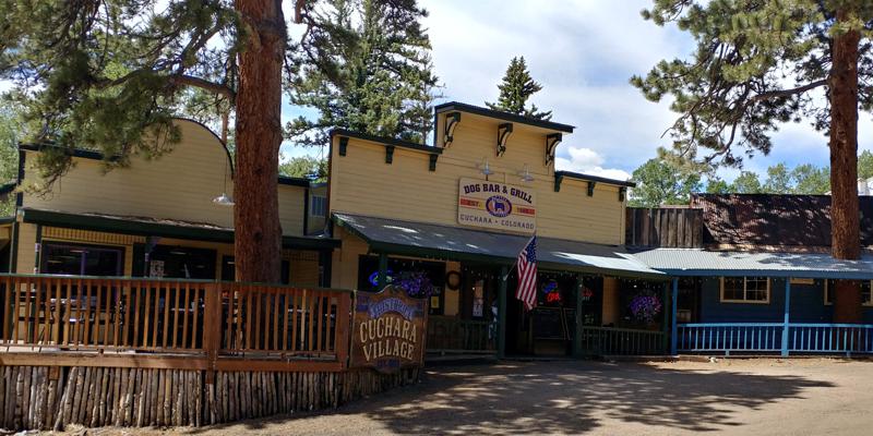 Visit The Dog Bar and Grill's Website