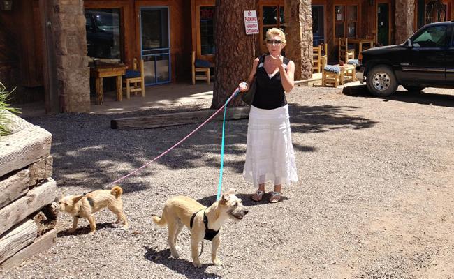 Pet Policy for Cucharas River Bed and Breakfast, Colorado